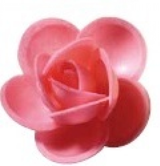 Floreal Rosa Ostia Rosa - 100 Pz