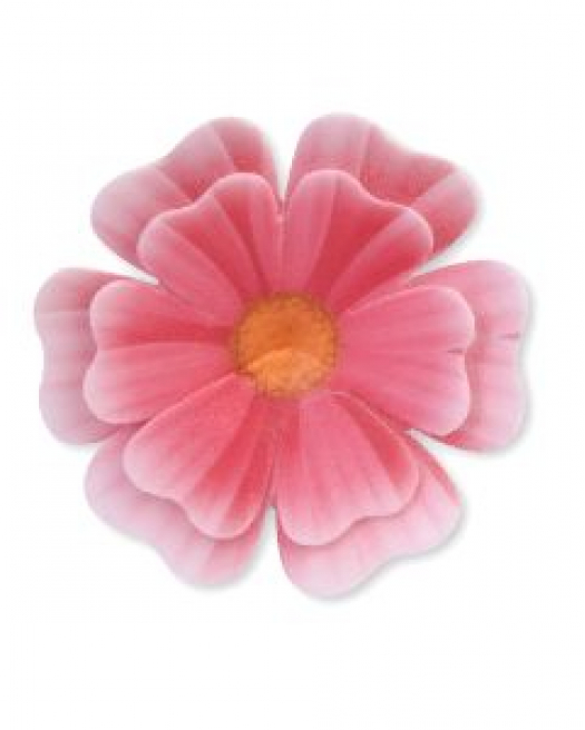 Modecor Primula Rosa Cialda  - 50pz