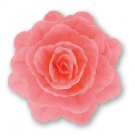 Floreal Rosa Grande Rosa - 15pz