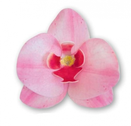 Floreal Orchidea Rosa - 10pz
