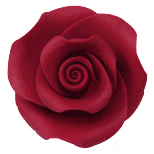 Modecor Set Rose Rosse - 17 Pz