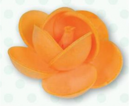 Floreal Rosa Ostia Arancione - 100 Pz
